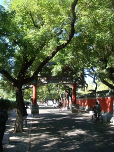 Street near the Lama Temple