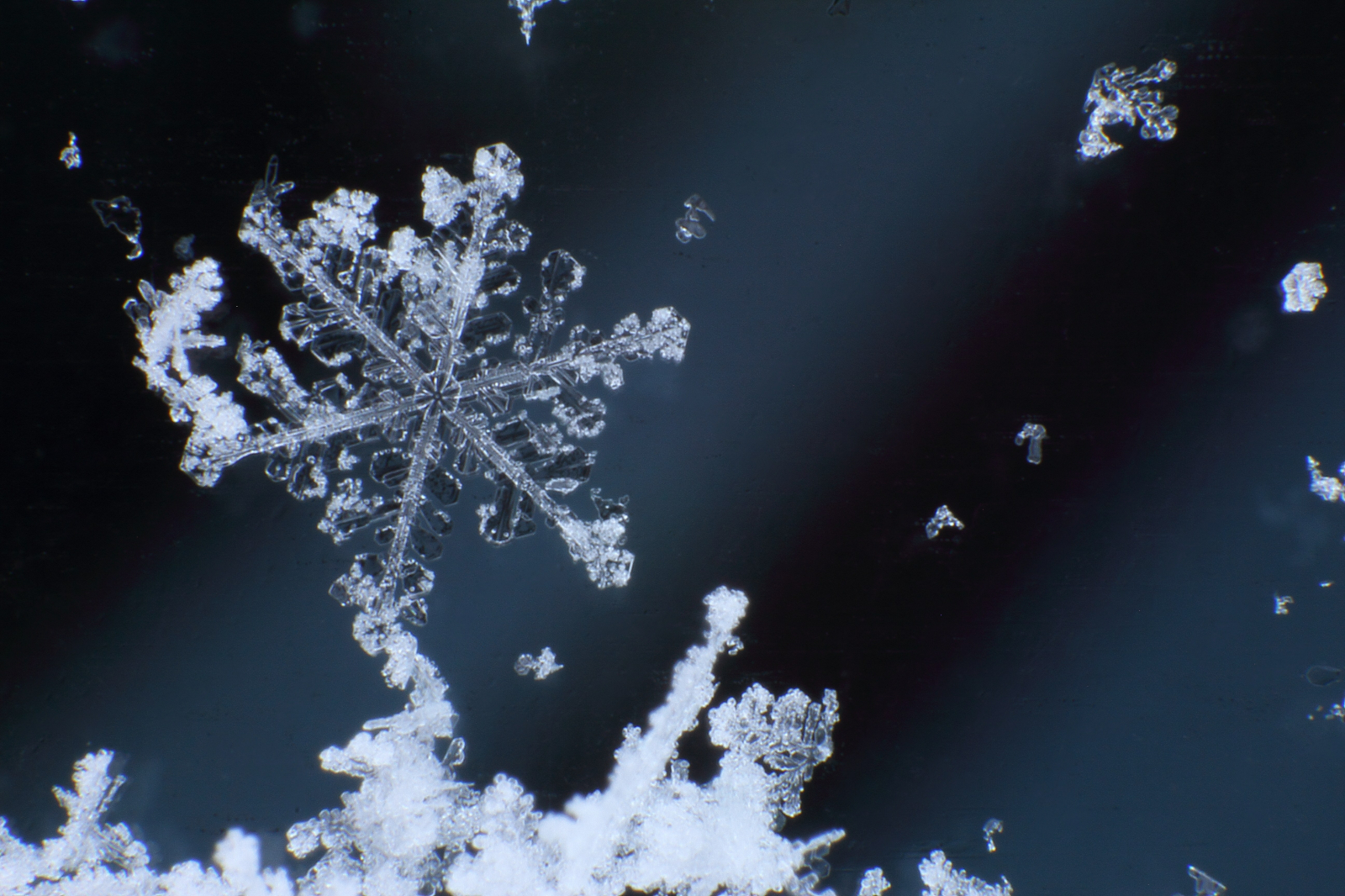 snowflake-1093941-print